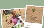 Volunteers working on a community environmental project